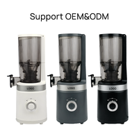 SJ-084 Nieuw Ontwerp 3.93 Inch Brede Invoeropening Koudpers Sapcentrifuge Fruit en Groenten Huishoudelijk Gemakkelijk te Reinigen Slow Juicer