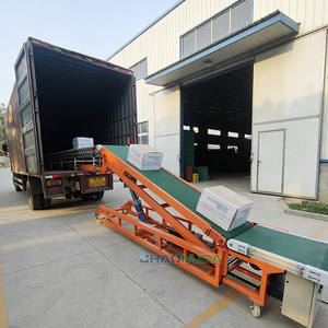 Özelleştirilmiş Kapasiteli Paketleme Üretim Hattı için Otomatik Yükleme ve Boşaltma Konveyör Sistemi - Product Image 2