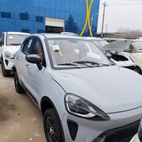 SUV Eléctrico de Lujo con Interior de Primera Clase, Mini EV Hatchback de 5 Plazas, Automático, con Batería de Litio, Vehículo Urbano para Pasajeros