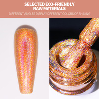 Bozlin – vernis à ongles en Gel holographique de luxe, fournisseur OEM d'arc-en-ciel de haute qualité, Gel holographique pailleté, vernis à ongles en Gel Uv