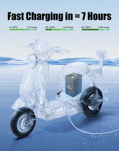 Hochleistungs-Lithium-Batterie mit Langer Ausdauer für 2-Rad-Elektrofahrzeuge 48V 60V 2-Rad-Lithium-Batterie mit BMS für E-Bike und E-Scooter - Product Image 3