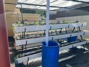 Bac de culture en plastique pour la culture hors-sol de fraises - Product Image 5