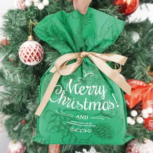 绿色可生物降解可回收圣诞礼品袋无织袋带拉绳手柄可定制标志印刷工艺包装