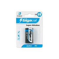 Piles super alcalines 6LR61, source d'alimentation portable, pile 9V pour alarme/télécommande, jouet