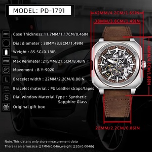 PAGANI DESIGN 1971 New Hollow Mechanical Men <b>Wristwatch</b> Classic Mens <b>Automatic</b> Watches Top Brand Waterproof Watch for Men - Product Image 6