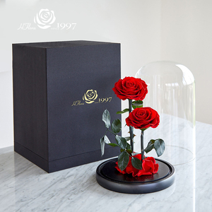 Caja de Rosas Preservadas al por Mayor, Regalo para el Día de San Valentín y el Día de la <span class=keywords><strong>Madre</strong></span>, Ramo de Rosas Eternas en Cúpula de Cristal para Decoración del Hogar y Regalos - Product Image 5