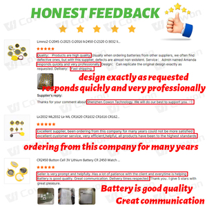 卸売3V 550mAh CR2450 CR2450HR CR2450HR-T23リチウムボタンセルCmos Biosおもちゃバッテリーワイヤーコネクタ付き - Product Image 6