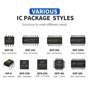 Original Integrated Circuits Sound Chip WT588F02B Mini Editable Recording Voice Chip IC