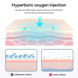 Pulvérisateur de brume nano hydratant pour la peau du visage, vaporisateur facial portable, injecteur d'oxygène, instrument de beauté spa, injecteur d'oxygène - Product Image 6