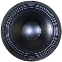 Haut-parleur de voiture professionnel Big Power 10 pouces 1200W Peak NEW à double bobine en néodyme, haut-parleur audio professionnel