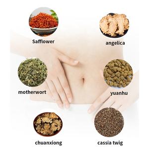 Plester Penghangat Nyeri Haid Mugwort - Herbal Alami Hipoalergenik, Pereda Nyeri Haid Cepat untuk Wanita - Product Image 4