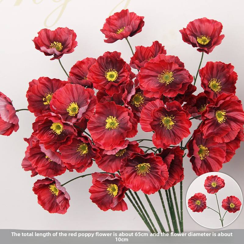 ดอกป๊อปปี้สีแดง 3 หัว