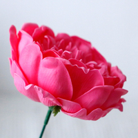 Grande tête de fleur de pivoine en savon faite à la main pour décorations de mariage, de remise de diplôme, accessoires de photographie, paysage artistique écologique