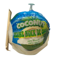 Marque de noix de coco verte fraîche de haute qualité Vietnam International Agriculture Prix de gros pas cher Échantillons gratuits disponibles
