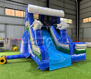 Chất lượng tốt trượt <span class=keywords><strong>Inflatable</strong></span> các nhà sản xuất không thấm nước và chống cháy trượt gonflable cho hồ bơi - Product Image 2