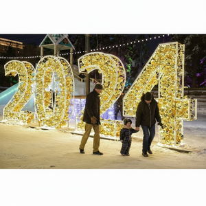 Lumière LED en forme d'arche, personnalisable en usine, étanche, à motifs numériques, pour la décoration des rues et des parcs, pour le Nouvel An et Noël - Product Image 1