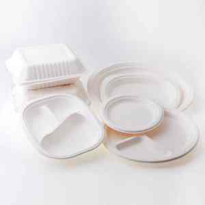 Assiettes en papier biodégradables - Product Image 5