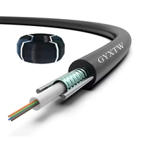 Câble à fibre optique GYXTW blindé aérien, à gel, multi-tubes lâches, certifié CE, gaine noire, emballage extérieur en acier et bois