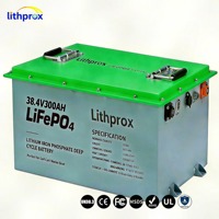 Batería LiFePO4 36V 300AH 10KW Grado A, 6000+ Ciclos, Ciclo Profundo, Almacenamiento Doméstico, BMS, RS485, Conector Anderson, CE, RoHS, IP67, OEM, ODM