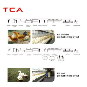 Xdx trang bị cho gia cầm giết mổ của gà/thiết bị giết mổ lợn/gia cầm giết mổ dòng - Product Image 2