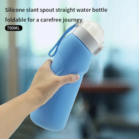Bouteille pliable en silicone pour le sport Bouteille d'eau pliable sans BPA de 700ml pour le voyage et le sport en plein air