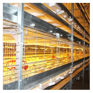 4 Tier Modern Design Poultry Farm House Automatic H Type Broiler Chicken Battery Cage System for sale