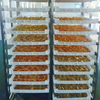 Mango/ Apple/Oranje/Abrikoos/Banaan/Ananas Droogoven, fruit Droger Machine Groente-en Droger Machine