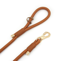 Produit populaire sur TikTok pour animaux de compagnie, laisse en polyester pour gros chiens, laisse de haute qualité avec boucle dorée, laisse de chien tendance, laisses pour animaux de compagnie