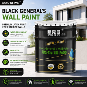 Pintura para Paredes Negra BANG KE WEI, Acabado Negro Premium, Textura de Alta Calidad, Fuerte Adhesión para Paredes - Product Image 1