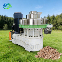 Máquina de Pellets de Biomasa de Funcionamiento Estable con Certificado CE de 5-10 Toneladas para Madera y Residuos Agrícolas