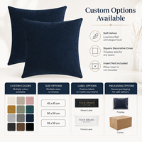 Housse de coussin carrée en velours OEM ODM, couleur unie
