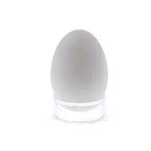 Acrilico rotondo Uovo Supporto di Plastica Trasparente Holder Egg Lucite Sfera di Visualizzazione Holder