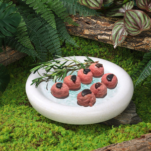 Round shrimp paste <b>plate</b>, black truffle meatball <b>plate</b>, and three-pepper beef melamine <b>plate</b> (same as those used in Shan - Product Image 2