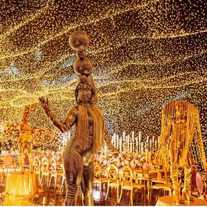 Meilleure vente rideau étoile LED dorée scintillant au plafond lumières contrôle DMX pour les mariages rideau de scène de nuit - Product Image 4