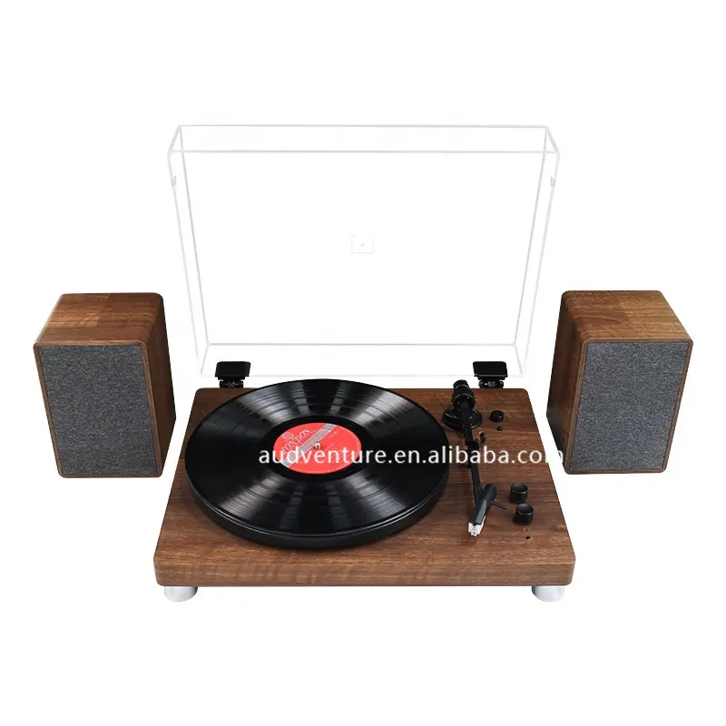 RP14 mit Staubs chutz Vinyl Player MM Wood Turntable Vinyl Plattenspieler mit zwei Lautsprechern Plattenspieler
