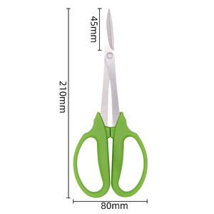 Jolies cisailles de taille en acier inoxydable vertes pour la taille des fleurs - Product Image 4