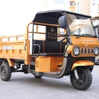 Camion cargo à refroidissement par eau, moto à essence, tricycle avec cabine, 3 roues, OEM, CEE, 200cc, 300cc