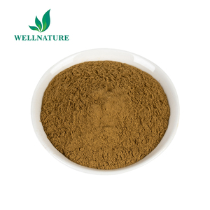 Nhà sản xuất polypodium leucotomos chiết xuất chất lượng cao polypodium leucotomos chiết xuất OEM polypodium leucotomos bột chiết xuất - Product Image 2