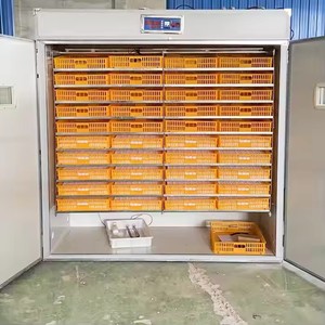 Couveuse Populaire de 4000 Œufs, Machine d'Éclosion de Ventes - Product Image 4