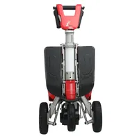 Tricycle électrique cargo à 3 roues 250W pour UE/États-Unis, 350W, carrosserie ouverte, avec batterie au lithium amovible 48V, autonomie de 30 km