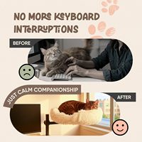 Hamac de bureau pour chat avec rotation à 360° °   Support de perchoir rotatif et réglable en hauteur pour bureau d'ordinateur