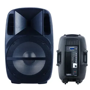 Professionele Audio 15 "500W Aangedreven Karaoke Sets Bt Luidspreker Dj/Pa System Sound Box + Led + stand + Microfoon + Eq Bocina Parlant