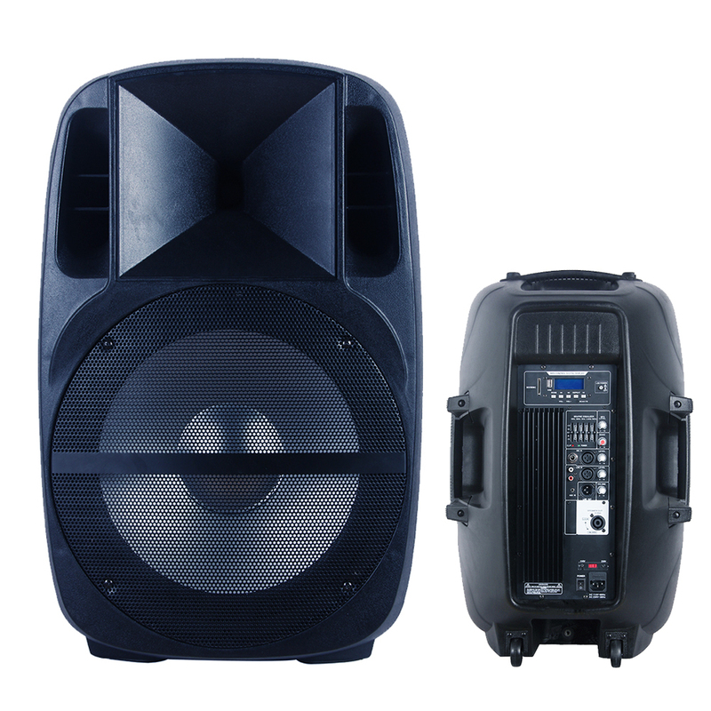 Professional Audio 1000W 2X10 Sound Box