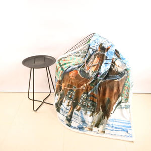 Invierno grueso Sherpa <span class=keywords><strong>cama</strong></span> suave ponderado franela al por mayor Coral cálido Polar personalizado manta de tiro - Product Image 5