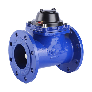 Compteur d'eau à bride à cadran sec amovible <span class=keywords><strong>Bove</strong></span> - Product Image 6