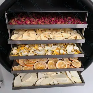 Máquina de secagem de batata banana chilli, pimenta, congelar a vácuo, para mangos, frutas e vegetais