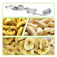 Ligne de production de chips de banane de 100 kg/h, machine à fabriquer des chips, prix de la ligne de production de chips de banane
