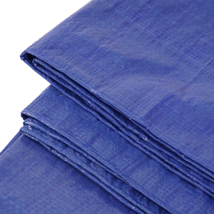 Lona de Polietileno con Protección UV, Tela Plástica para Agricultura/Industria - Product Image 6