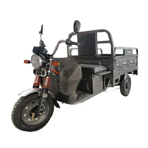 2024 Ventas directas de fábrica 3 ruedas Cargo Motocicleta Triciclo eléctrico Cargo 1000kg Scooter City