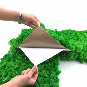 Décoration intérieure, mur végétal, décoration de bureau, plantes naturelles réelles, panneau de mousse stabilisée et préservée - Product Image 3